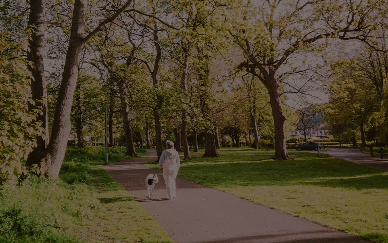 Best places for summer walks in New York City